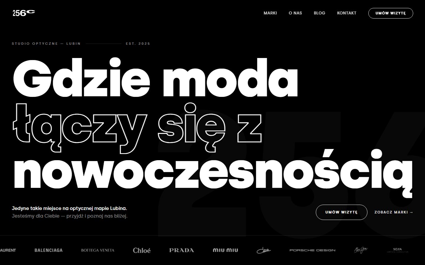 256cech.com website — built by LENDO